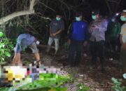 Mayat Misterius Terdampar di Pantai Sepanjang Sapeken