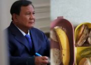 Program Presiden Prabowo Dituding Mengancam Kesehatan Anak-anak