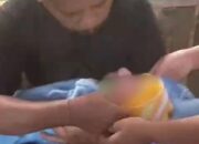 Penemuan Bayi Hebohkan Warga Senduro Lumajang di Dekat Jembatan Curah Kebo