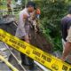 Jalan Utama Tempursari Lumajang Longsor