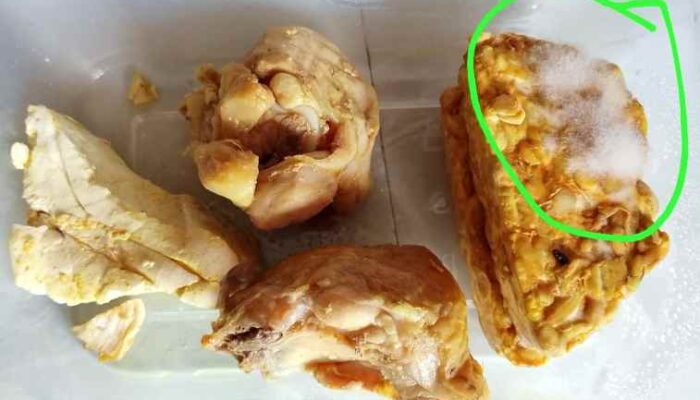 Menu Berjamur dari Dapur MBG Darul Arqom Picu Amarah Wali Murid