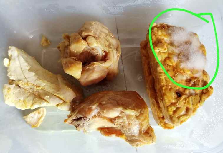 Menu Berjamur dari Dapur MBG Darul Arqom Picu Amarah Wali Murid