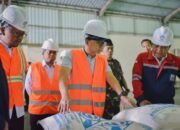 Transformasi Industri Garam Dipercepat, Pemerintah Targetkan Swasembada 2027