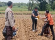 Sadis! Petani Sampang Tewas Ditusuk Bambu Pisau di Sawah