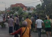 Angin Puting Beliung Mengamuk di Pamekasan, 3 Rumah Warga Rusak Parah
