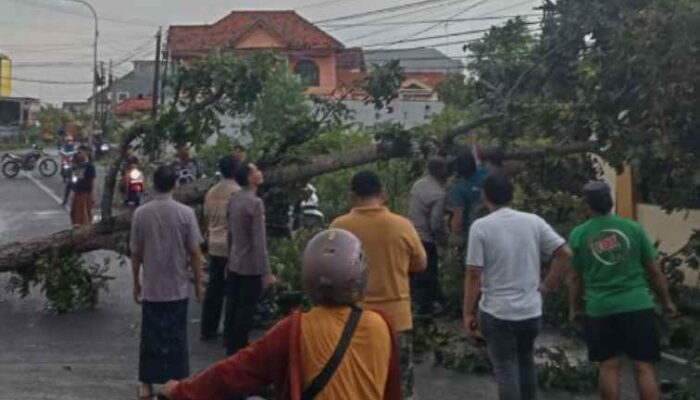 Angin Puting Beliung Mengamuk di Pamekasan, 3 Rumah Warga Rusak Parah