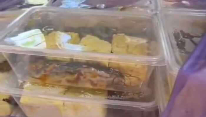 Lele Mentah Masuk Kotak MBG, SMAN 2 Pamekasan Tolak 1.022 Porsi