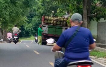 Gas Subsidi Dijual Bebas di Sumenep, Aktivis Desak Izin Agen LPG 3 Kg Dicabut