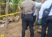 Polres Lumajang Lakukan Olah TKP Penemuan Jenazah Bayi di Sukodono