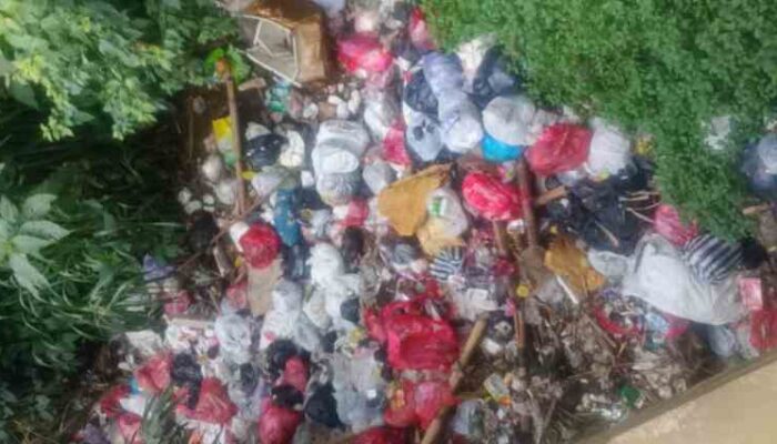 Bau Menyengat, Tumpukan Sampah di Bawah Jembatan Baran Desa Kemantren Malang Dikeluhkan