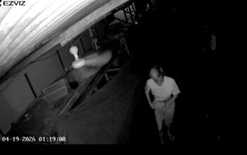 Pemuda Diduga Obok-obok Kios “Bakso Mami”, Aksi Terekam CCTV, Pemilik Pilih Tidak Melapor