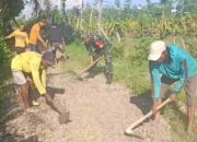 Bersihkan Akses Jalan Pertanian, Aksi Nyata Warga dan Babinsa Posramil 24 Siliragung