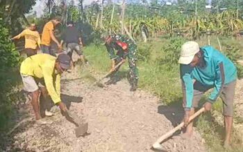 Bersihkan Akses Jalan Pertanian, Aksi Nyata Warga dan Babinsa Posramil 24 Siliragung
