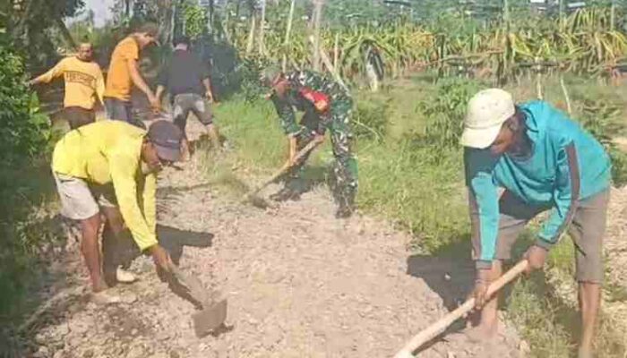 Bersihkan Akses Jalan Pertanian, Aksi Nyata Warga dan Babinsa Posramil 24 Siliragung