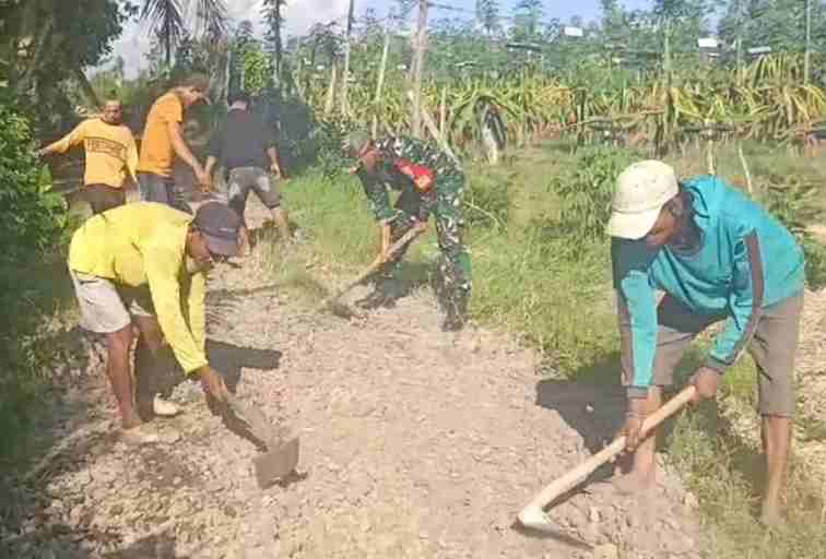 Bersihkan Akses Jalan Pertanian, Aksi Nyata Warga dan Babinsa Posramil 24 Siliragung
