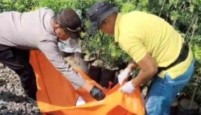 Pemuda Tanpa Identitas Tewas Tertabrak Kereta di Sumberasih Probolinggo