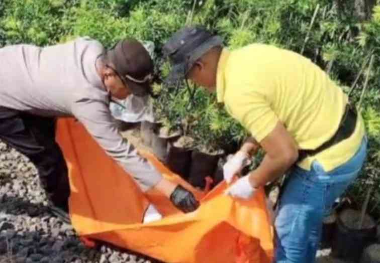 Pemuda Tanpa Identitas Tewas Tertabrak Kereta di Sumberasih Probolinggo