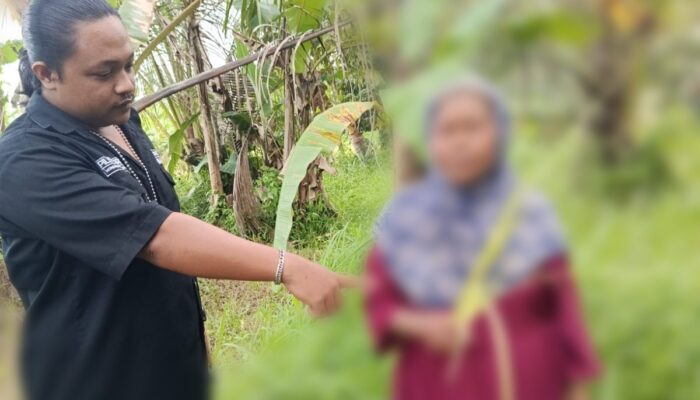 Marak Pencurian Janur di Banyuwangi Jadi Sorotan, LSM GMBI Desak Penegakan Perda Secara Tegas