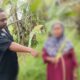 Marak Pencurian Janur di Banyuwangi Jadi Sorotan, LSM GMBI Desak Penegakan Perda Secara Tegas