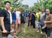 Warga Empat RT di Kelurahan Bangunsari Gelar Kerja Bhakti, Antisipasi Kemunculan Ular Piton di Bantaran Sungai
