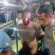 Video Viral Dugaan Begal di Probolinggo, Pelaku Kini Dirawat di RS Waluyo Jati
