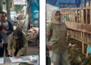 DKPP Lumajang Gelar Pemeriksaan Hewan Kurban di Lapak Penjualan Hewan Kurban Pemilik Keluhkan Turunnya Pembeli