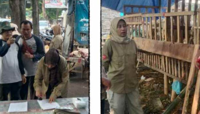 DKPP Lumajang Gelar Pemeriksaan Hewan Kurban di Lapak Penjualan Hewan Kurban Pemilik Keluhkan Turunnya Pembeli