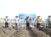 Probolinggo Dapat Alokasi 1.200 Hektar Program Bongkar Ratoon Tebu 2026