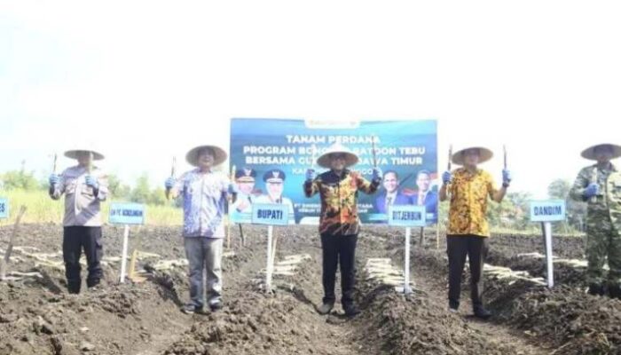 Probolinggo Dapat Alokasi 1.200 Hektar Program Bongkar Ratoon Tebu 2026
