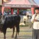 Idul Adha 1447 H, Polres Probolinggo Perkuat Kebersamaan dengan Kurban