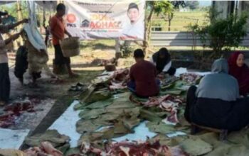 19 Ekor Sapi dan 147 Ekor Kambing Hewan Kurban dari PKS Disembelih di Lumajang