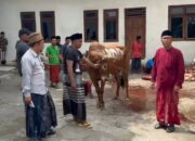PDIP Sampang Salurkan Sapi Kurban ke MWC NU Tambelangan