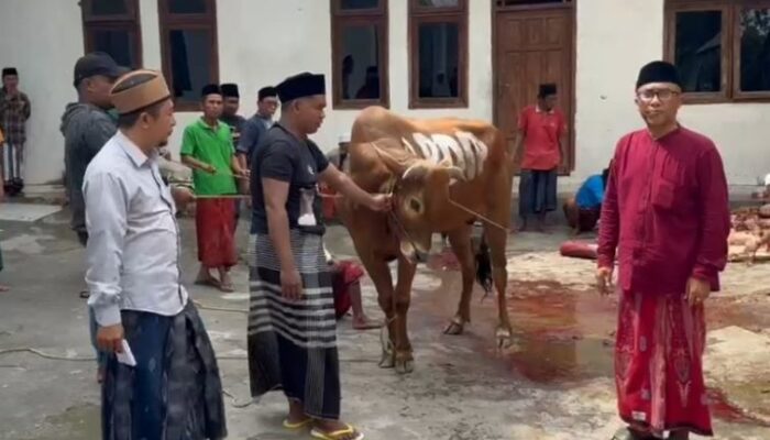 PDIP Sampang Salurkan Sapi Kurban ke MWC NU Tambelangan