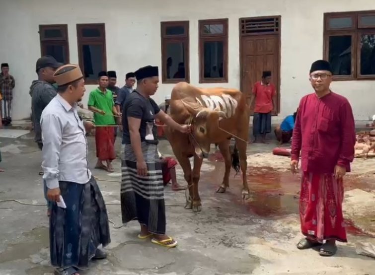 PDIP Sampang Salurkan Sapi Kurban ke MWC NU Tambelangan