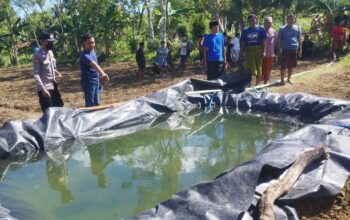 Diduga Tersengat Listrik Saat Siram Tembakau, Warga Batuputih Ditemukan Tewas