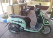 Dua Terduga Pelaku Percobaan Curanmor di Masalembu Diciduk Polisi
