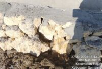 FOTO: Pasangan batu tanpa mortar di sisi luar sebelah barat yang di kelolah P3A Plakaran Hijau Senin, (27/7). @by_News9.id