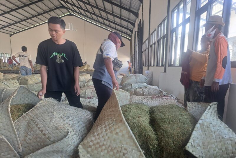 FOTO: Bos HM, hari ini mulai membuka gudang pembelian tembakau di Desa Daramista, @by_News9.id