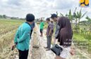 FOTO: Tim KMB dan TPM saat mengevaluasi P3TGAI yang di kelola P3A Plakaran Hijau, di desa plakaran, jrengik, sampang. Kamis (28/7). @by_News9.id