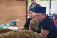 FOTO: H. Gufron, saat proses pembelian dengan pemeriksaan dan penilaian kualitas tembakau di gudang utama Haswal Group. @by_News9.id