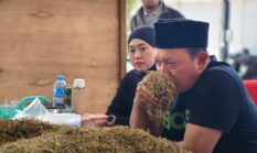 Siap Serap Hasil Panen Tembakau, Haswal Group Buka Pembelian Perdana