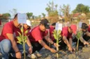 FOTO: Jaringan Media Siber Indonesia (JMSI) Kabupaten Sumenep pada penanaman mangrove. @by_News9.id