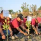 FOTO: Jaringan Media Siber Indonesia (JMSI) Kabupaten Sumenep pada penanaman mangrove. @by_News9.id