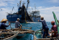 FOTO: (ilustrasi) Kapal cantrang dan purse seine (pursein) yang diduga semakin leluasa beroperasi di perairan Masalembu, @by_News9.id