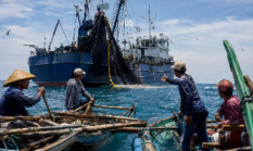 Kapal Purseine Bebas Beroperasi di Masalembu, Nelayan Tradisional Terancam Konflik