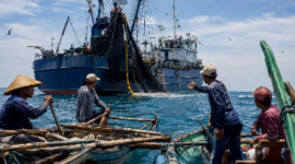 FOTO: (ilustrasi) Kapal cantrang dan purse seine (pursein) yang diduga semakin leluasa beroperasi di perairan Masalembu, @by_News9.id