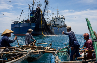 Kapal Purseine Bebas Beroperasi di Masalembu, Nelayan Tradisional Terancam Konflik