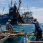 FOTO: (ilustrasi) Kapal cantrang dan purse seine (pursein) yang diduga semakin leluasa beroperasi di perairan Masalembu, @by_News9.id