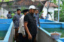FOTO: Bupati Sumenep, Achmad Fauzi Wongsojudo, saat meninjau budi daya ikan lele dan peternakan ayam petelur milik kelompok masyarakat di Desa Bataal Timur, @by_News9.id