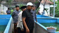 FOTO: Bupati Sumenep, Achmad Fauzi Wongsojudo, saat meninjau budi daya ikan lele dan peternakan ayam petelur milik kelompok masyarakat di Desa Bataal Timur, @by_News9.id